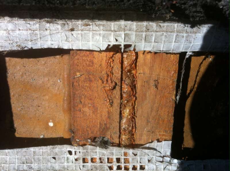 BAU.DE / BAU-Forum: 2. Bild zu Frage "Pultdach Aufbau prüfen: Dämmung, Unterspannbahn & Risiken im Altbau (Bj. 1980)?" im BAU-Forum "Dach" BAU.DE / BAU-Forum: 2. Bild zu Frage "Pultdach Aufbau prüfen: Dämmung, Unterspannbahn & Risiken im Altbau (Bj. 1980)?" im BAU-Forum "Dach"