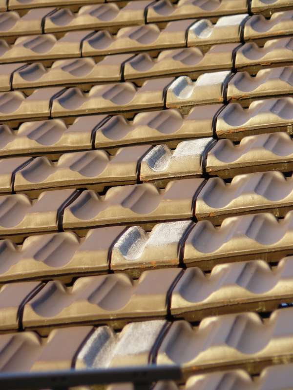 BAU.DE / BAU-Forum: 3. Bild zu Antwort "Ziegelverf&auml;rbung: Entscheidung nach Monaten &ndash; Austausch erfolgt!" auf die Frage "Neue Dacheindeckung: Ziegelverf&auml;rbungen &ndash; Ursachen, Risiken & Gew&auml;hrleistung in Bayern?" im BAU-Forum "Dach"