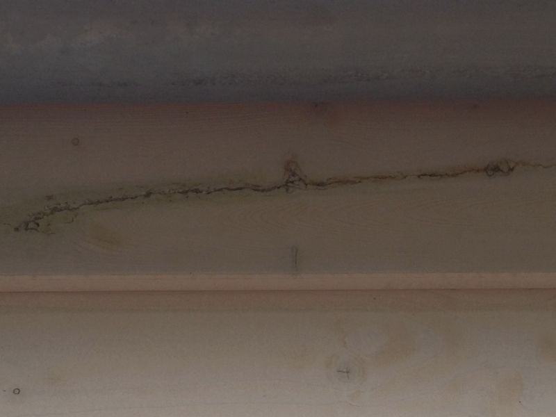 BAU.DE / BAU-Forum: 5. Bild zu Frage "Dach&uuml;berstand Bungalow: Mangelhafte Ausf&uuml;hrung Sichtschalung &ndash; Was tun bei Rissen & Fehlern?" im BAU-Forum "Dach"