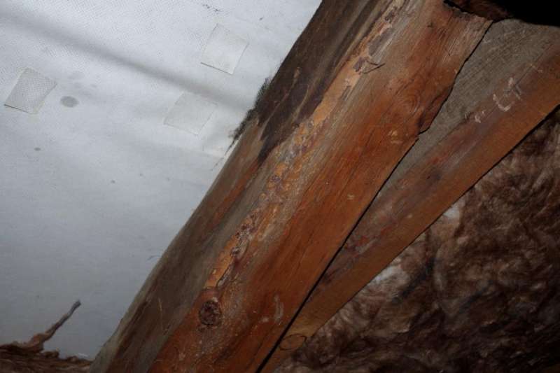 BAU.DE / BAU-Forum: 1. Bild zu Frage "Nasse Dachbalken nach Dachdeckung: Ursachen, Mängelbeseitigung & Fristen?" im BAU-Forum "Dach" BAU.DE / BAU-Forum: 1. Bild zu Frage "Nasse Dachbalken nach Dachdeckung: Ursachen, Mängelbeseitigung & Fristen?" im BAU-Forum "Dach"