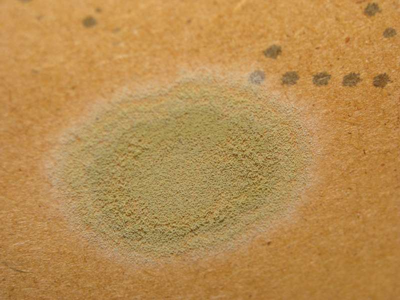 BAU.DE / BAU-Forum: 2. Bild zu Frage "Schimmel auf DWD-Platten im Dachspitz: Ursachen, Gefahren & Sanierung?" im BAU-Forum "Dach"