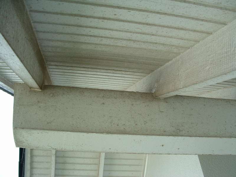 BAU.DE / BAU-Forum: 1. Bild zu Frage "Pilzbefall Dach&uuml;berstand: Ursachen, Risiken & Sanierung der Holzverschalung?" im BAU-Forum "Dach"