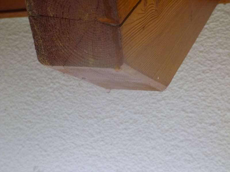 BAU.DE / BAU-Forum: 4. Bild zu Frage "Wasser tropft aus Dachunterl&uuml;ftung: Ursachenforschung & Sofortma&szlig;nahmen?" im BAU-Forum "Dach"