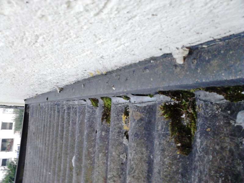 BAU.DE / BAU-Forum: 1. Bild zu Frage "Asbest Vordach erkennen: Eternitplatten? Risiken, Sanierung & Fachmann-Tipps" im BAU-Forum "Dach"
