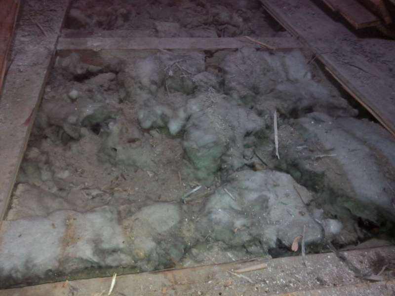 BAU.DE / BAU-Forum: 1. Bild zu Frage "D&auml;mmung Geschossdecke: M&auml;usebefall erkennen, beseitigen & D&auml;mmmaterialien vergleichen" im BAU-Forum "Dach"