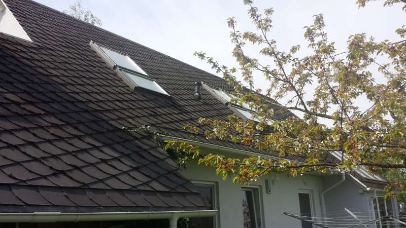 BAU.DE / BAU-Forum: 1. Bild zu Frage "Schieferdach reinigen entmoosen" im BAU-Forum "Dach"