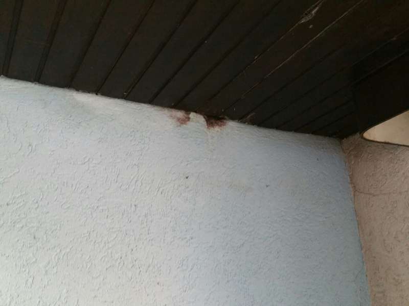 BAU.DE / BAU-Forum: 2. Bild zu Frage "Flachdach Sanierung Reihenmittelhaus: Kosten, Risiken & Ablauf f&uuml;r Laien?" im BAU-Forum "Dach"