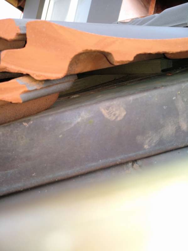 BAU.DE / BAU-Forum: 3. Bild zu Frage "Dachziegel schneiden: &Ouml;ffnungen schlie&szlig;en & Schutz vor Kleintieren &ndash; Kosten & Methoden" im BAU-Forum "Dach"