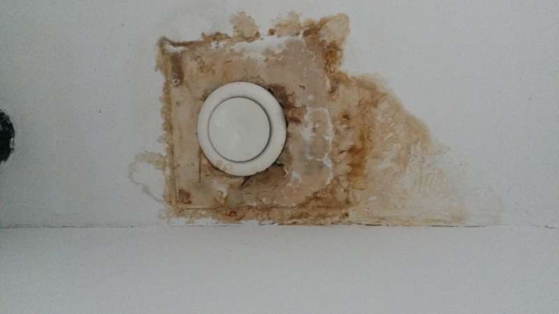 BAU.DE / BAU-Forum: 1. Bild zu Frage "n/a" im BAU-Forum "Dach" BAU.DE / BAU-Forum: 1. Bild zu Frage "n/a" im BAU-Forum "Dach"