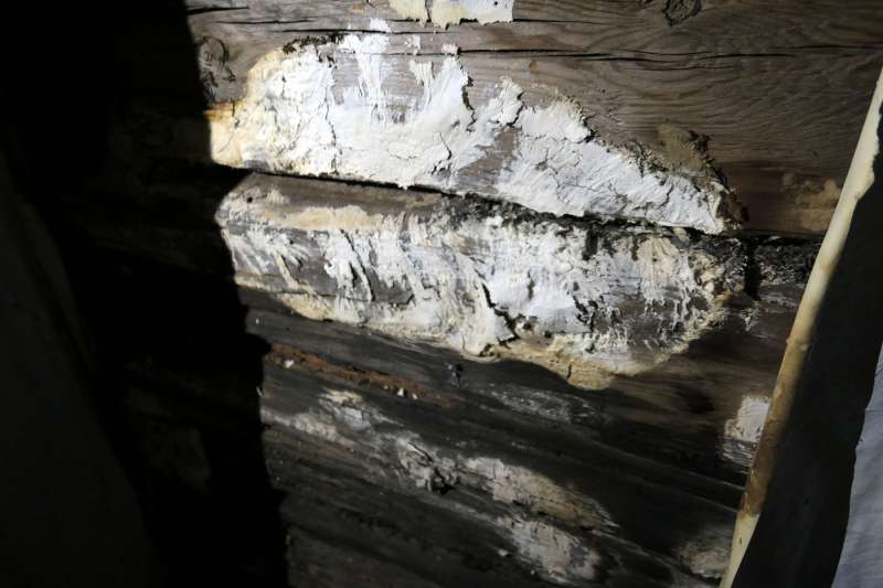 BAU.DE / BAU-Forum: 1. Bild zu Frage "Handelt es sich hier um Hausschwamm? (Bild)" im BAU-Forum "Dach" BAU.DE / BAU-Forum: 1. Bild zu Frage "Handelt es sich hier um Hausschwamm? (Bild)" im BAU-Forum "Dach"