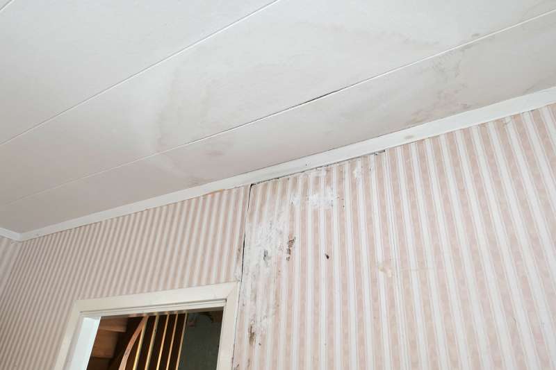 BAU.DE / BAU-Forum: 2. Bild zu Frage "Handelt es sich hier um Hausschwamm? (Bild)" im BAU-Forum "Dach" BAU.DE / BAU-Forum: 2. Bild zu Frage "Handelt es sich hier um Hausschwamm? (Bild)" im BAU-Forum "Dach"