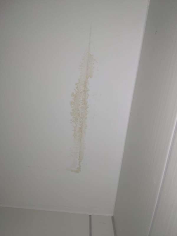 BAU.DE / BAU-Forum: 2. Bild zu Frage "Feuchtigkeit im Dach erkennen: Ursachen, Folgen & Sofortma&szlig;nahmen?" im BAU-Forum "Dach"