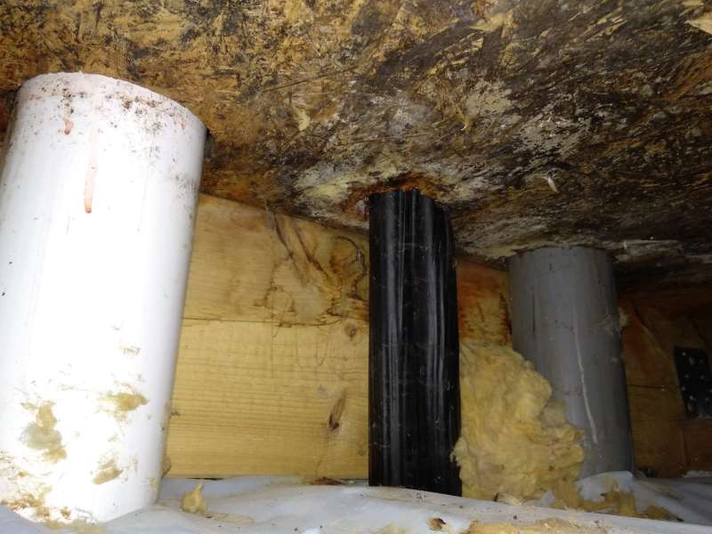 BAU.DE / BAU-Forum: 5. Bild zu Frage "Feuchtigkeit im Dach erkennen: Ursachen, Folgen & Sofortma&szlig;nahmen?" im BAU-Forum "Dach"