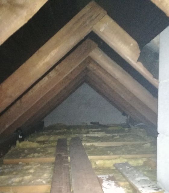 BAU.DE / BAU-Forum: 1. Bild zu Frage "Dampfbremse unter Rauspund" im BAU-Forum "Dach" BAU.DE / BAU-Forum: 1. Bild zu Frage "Dampfbremse unter Rauspund" im BAU-Forum "Dach"