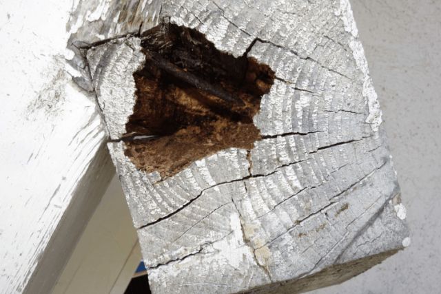 BAU.DE / BAU-Forum: 1. Bild zu Frage "Außen Dachbalken großen Loch vom Vogel" im BAU-Forum "Dach" BAU.DE / BAU-Forum: 1. Bild zu Frage "Außen Dachbalken großen Loch vom Vogel" im BAU-Forum "Dach"