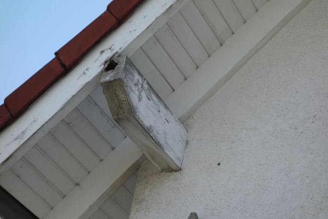 BAU.DE / BAU-Forum: 2. Bild zu Frage "Außen Dachbalken großen Loch vom Vogel" im BAU-Forum "Dach" BAU.DE / BAU-Forum: 2. Bild zu Frage "Außen Dachbalken großen Loch vom Vogel" im BAU-Forum "Dach"
