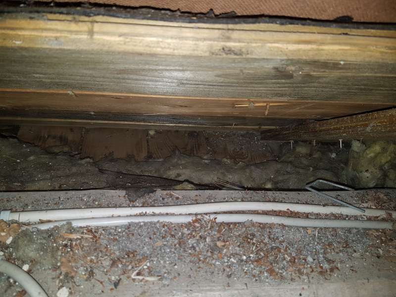 BAU.DE / BAU-Forum: 4. Bild zu Antwort "Hier sind weitere Infos und Fotos" auf die Frage "Belüftetes Dach erkennen: Anzeichen, Funktion & Risiken für die Dämmung?" im BAU-Forum "Dach" BAU.DE / BAU-Forum: 4. Bild zu Antwort "Hier sind weitere Infos und Fotos" auf die Frage "Belüftetes Dach erkennen: Anzeichen, Funktion & Risiken für die Dämmung?" im BAU-Forum "Dach"