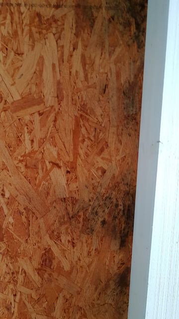 BAU.DE / BAU-Forum: 2. Bild zu Frage "Flachdach Garage mit Trapezblech auf OSB Platten - schwarze Flecken auf Unterseite OSB innen" im BAU-Forum "Dach" BAU.DE / BAU-Forum: 2. Bild zu Frage "Flachdach Garage mit Trapezblech auf OSB Platten - schwarze Flecken auf Unterseite OSB innen" im BAU-Forum "Dach"