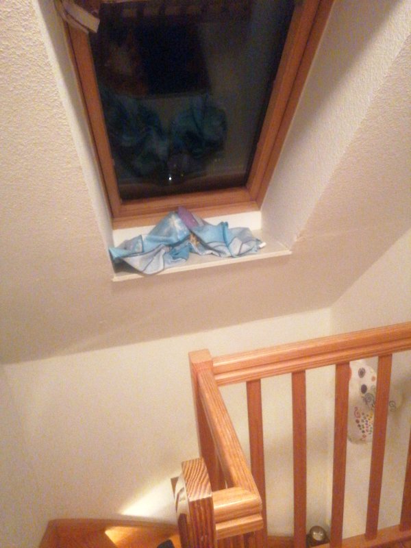 BAU.DE / BAU-Forum: 1. Bild zu Antwort "Dachfenster undicht" auf die Frage "Dachfenster undicht: Schimmelbildung, Rechte als Mieter & was tun?" im BAU-Forum "Dach"