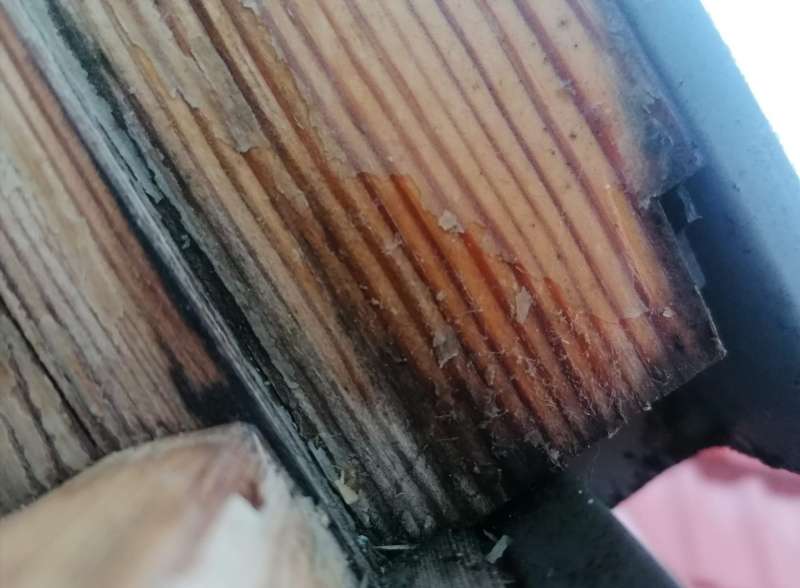 BAU.DE / BAU-Forum: 2. Bild zu Antwort "Dachfenster undicht" auf die Frage "Dachfenster undicht: Schimmelbildung, Rechte als Mieter & was tun?" im BAU-Forum "Dach"