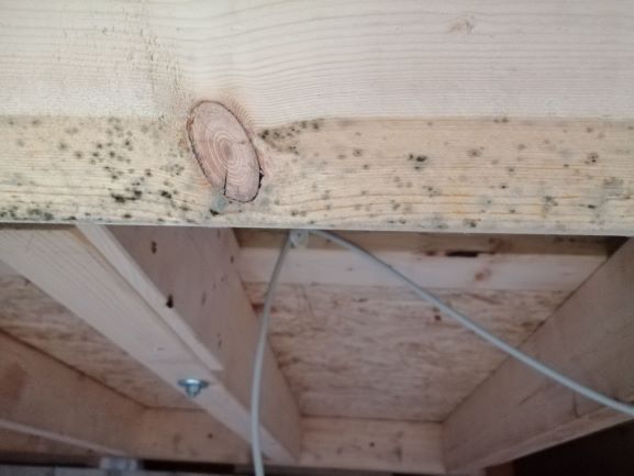 BAU.DE / BAU-Forum: 3. Bild zu Frage "Schimmelbildung an Wechsel" im BAU-Forum "Dach"