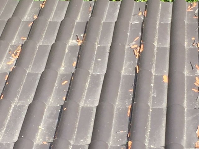 BAU.DE / BAU-Forum: 2. Bild zu Frage "CREATON Dachziegel" im BAU-Forum "Dach"