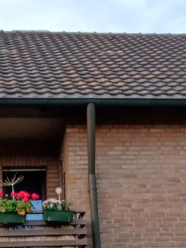 BAU.DE / BAU-Forum: 2. Bild zu Frage "R&ouml;tliche Stellen auf dem Ziegeldach" im BAU-Forum "Dach"