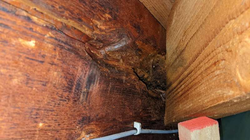 BAU.DE / BAU-Forum: 4. Bild zu Frage "tragender Dachbalken morsche/por&ouml;se Stelle" im BAU-Forum "Dach"