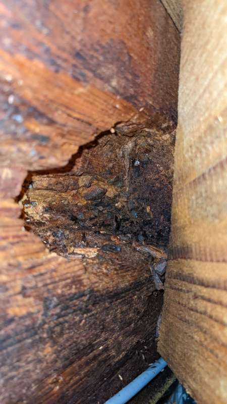 BAU.DE / BAU-Forum: 5. Bild zu Frage "tragender Dachbalken morsche/por&ouml;se Stelle" im BAU-Forum "Dach"