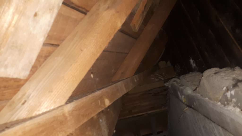 BAU.DE / BAU-Forum: 1. Bild zu Antwort "Trapezgaube -" auf die Frage "Dampfbremse Gaube anbringen: Aufbau, Funktion & Risiken bei Sanierung?" im BAU-Forum "Dach" BAU.DE / BAU-Forum: 1. Bild zu Antwort "Trapezgaube -" auf die Frage "Dampfbremse Gaube anbringen: Aufbau, Funktion & Risiken bei Sanierung?" im BAU-Forum "Dach"