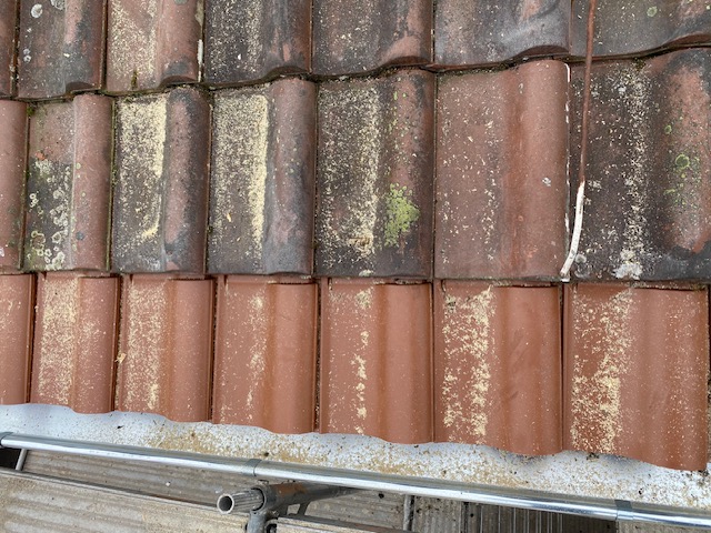 BAU.DE / BAU-Forum: 1. Bild zu Frage "Arbeit fachgerecht?" im BAU-Forum "Dach" BAU.DE / BAU-Forum: 1. Bild zu Frage "Arbeit fachgerecht?" im BAU-Forum "Dach"