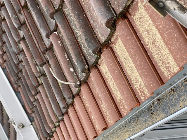 BAU.DE / BAU-Forum: 3. Bild zu Frage "Arbeit fachgerecht?" im BAU-Forum "Dach" BAU.DE / BAU-Forum: 3. Bild zu Frage "Arbeit fachgerecht?" im BAU-Forum "Dach"