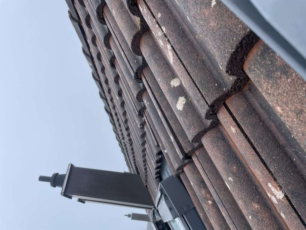 BAU.DE / BAU-Forum: 2. Bild zu Antwort "Firstziegel Demontage: Notwendig für Lehmann Aufdachmodul Montage?" auf die Frage "Braas Taunus Dachfirstziegel demontieren: Anleitung für Lehmann Aufdachmodul Montage?" im BAU-Forum "Dach" BAU.DE / BAU-Forum: 2. Bild zu Antwort "Firstziegel Demontage: Notwendig für Lehmann Aufdachmodul Montage?" auf die Frage "Braas Taunus Dachfirstziegel demontieren: Anleitung für Lehmann Aufdachmodul Montage?" im BAU-Forum "Dach"