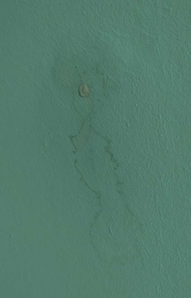 BAU.DE / BAU-Forum: 1. Bild zu Frage "Wasserrand & hohle Stelle in Rigips an Dachschräge: Ursache Wasser oder Tier?" im BAU-Forum "Dach"