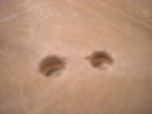 BAU.DE / BAU-Forum: 1. Bild zu Antwort "Bohrkern-Analyse: Material unter den Asbest-Bodenplatten" auf die Frage "Linoleum-Boden erkennen: Aufbau, Eigenschaften & Risiken unter alten Bel&auml;gen?" im BAU-Forum "Estrich und Bodenbel&auml;ge"