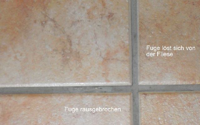 BAU.DE / BAU-Forum: 1. Bild zu Frage "Fliesen l&ouml;sen sich im Wohnzimmer: Ursachen, L&ouml;sungen & Kosten f&uuml;r die Reparatur?" im BAU-Forum "Estrich und Bodenbel&auml;ge"