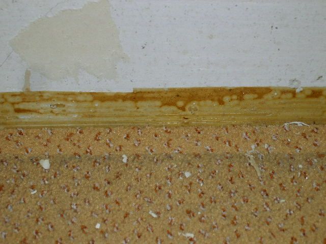 BAU.DE / BAU-Forum: 1. Bild zu Frage "Teppichkleber entfernen: Schadstoffe, Asbest erkennen & sichere Entfernung 70er Kleber" im BAU-Forum "Estrich und Bodenbel&auml;ge"