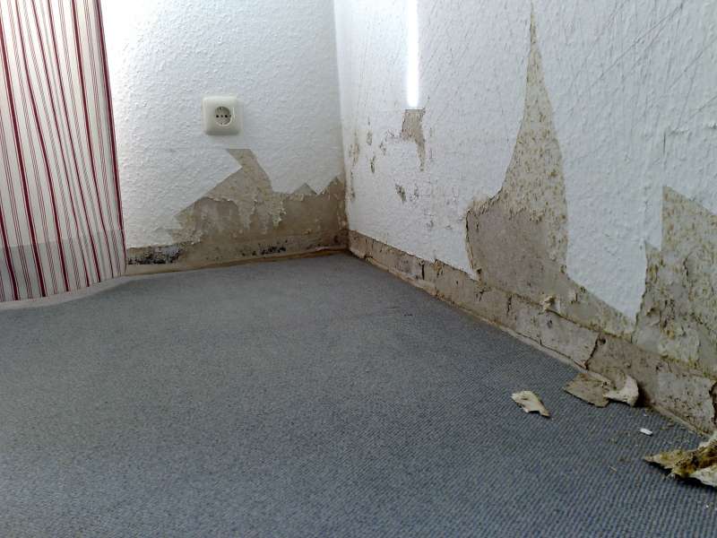 BAU.DE / BAU-Forum: 1. Bild zu Frage "Teppichboden zerst&ouml;rungsfrei l&ouml;sen nach Wasserschaden: Methoden, Risiken & Kosten?" im BAU-Forum "Estrich und Bodenbel&auml;ge"