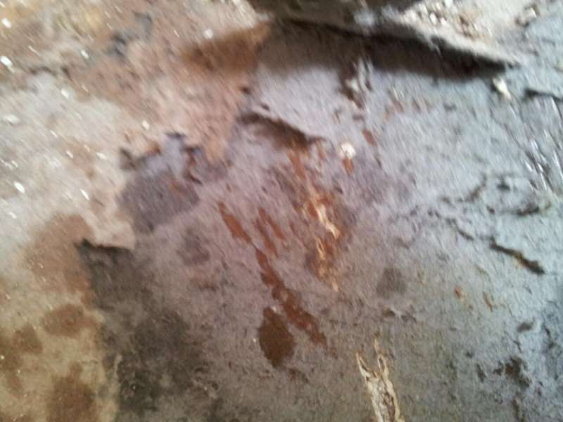 BAU.DE / BAU-Forum: 1. Bild zu Frage "Problematischer Bodenbelag?" im BAU-Forum "Estrich und Bodenbel&auml;ge"