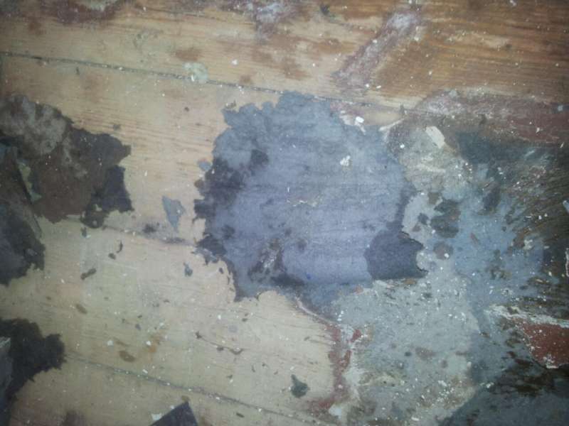 BAU.DE / BAU-Forum: 1. Bild zu Antwort "Bild" auf die Frage "Bodenbelag unter PVC: Schadstoffe, Risiken & Fachgerechte Analyse?" im BAU-Forum "Estrich und Bodenbel&auml;ge"