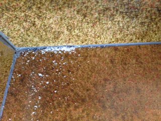 BAU.DE / BAU-Forum: 1. Bild zu Frage "Ausbl&uuml;hungen an Silikonfugen" im BAU-Forum "Estrich und Bodenbel&auml;ge"