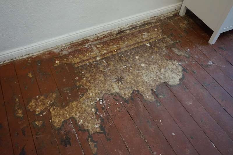 BAU.DE / BAU-Forum: 1. Bild zu Frage "alter Bodenbelag, schwarzer Kleber, Asbest?" im BAU-Forum "Estrich und Bodenbel&auml;ge"