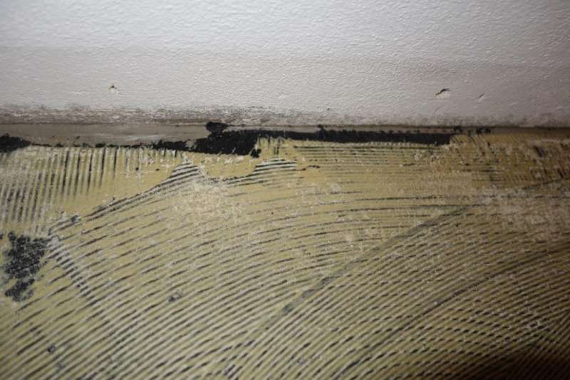 BAU.DE / BAU-Forum: 1. Bild zu Frage "Untergrund f&uuml;r Teppichboden" im BAU-Forum "Estrich und Bodenbel&auml;ge"