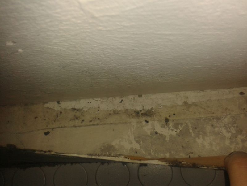 BAU.DE / BAU-Forum: 2. Bild zu Frage "Zwischen Dielenboden und PVC-Belag: Welches Material ist das?" im BAU-Forum "Estrich und Bodenbel&auml;ge"