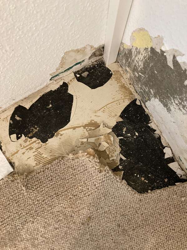 BAU.DE / BAU-Forum: 1. Bild zu Frage "Estrich unter dem alten Teppichboden" im BAU-Forum "Estrich und Bodenbeläge" BAU.DE / BAU-Forum: 1. Bild zu Frage "Estrich unter dem alten Teppichboden" im BAU-Forum "Estrich und Bodenbeläge"