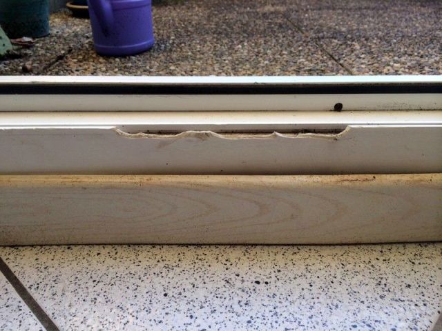 BAU.DE / BAU-Forum: 1. Bild zu Frage "Fensterrahmen Reparatur: Kosten, Methoden & Abdichtung bei Besch&auml;digungen?" im BAU-Forum "Fenster und Au&szlig;ent&uuml;ren"