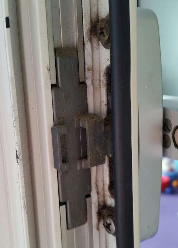 BAU.DE / BAU-Forum: 1. Bild zu Frage "T&uuml;ren von 1998 ohne Hersteller finden: Typ erkennen & Ersatzteile beschaffen?" im BAU-Forum "Fenster und Au&szlig;ent&uuml;ren"