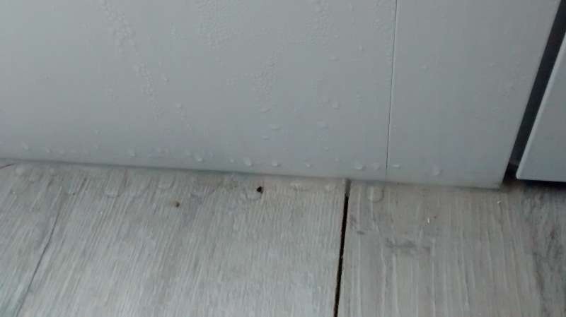 BAU.DE / BAU-Forum: 4. Bild zu Frage "Kondenswasser an Aluminium Haust&uuml;r: Ursachen, Vermeidung & Risiken?" im BAU-Forum "Fenster und Au&szlig;ent&uuml;ren"