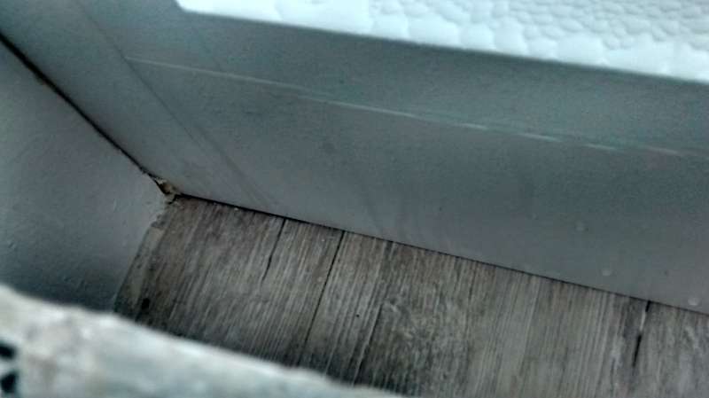 BAU.DE / BAU-Forum: 5. Bild zu Frage "Kondenswasser an Aluminium Haust&uuml;r: Ursachen, Vermeidung & Risiken?" im BAU-Forum "Fenster und Au&szlig;ent&uuml;ren"