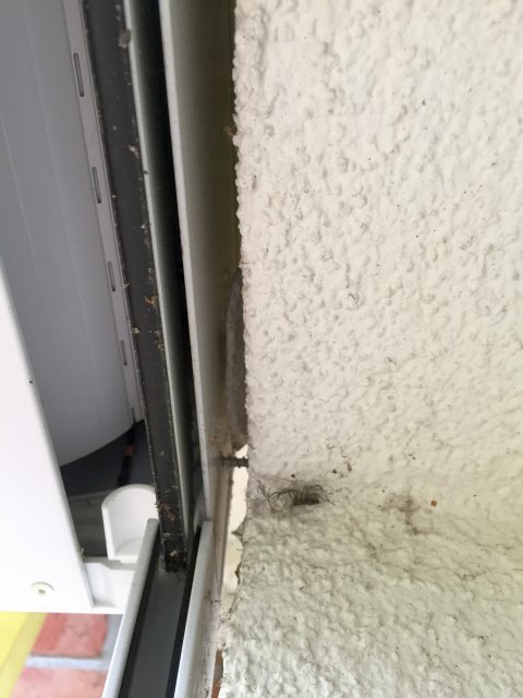 BAU.DE / BAU-Forum: 1. Bild zu Antwort "Moin, vielen Dank f&uuml;r die schnelle Antwort. Die..." auf die Frage "Rollladen Seitenf&uuml;hrung l&ouml;st sich: Ursachen, Reparatur & Befestigungsmethoden?" im BAU-Forum "Fenster und Au&szlig;ent&uuml;ren"